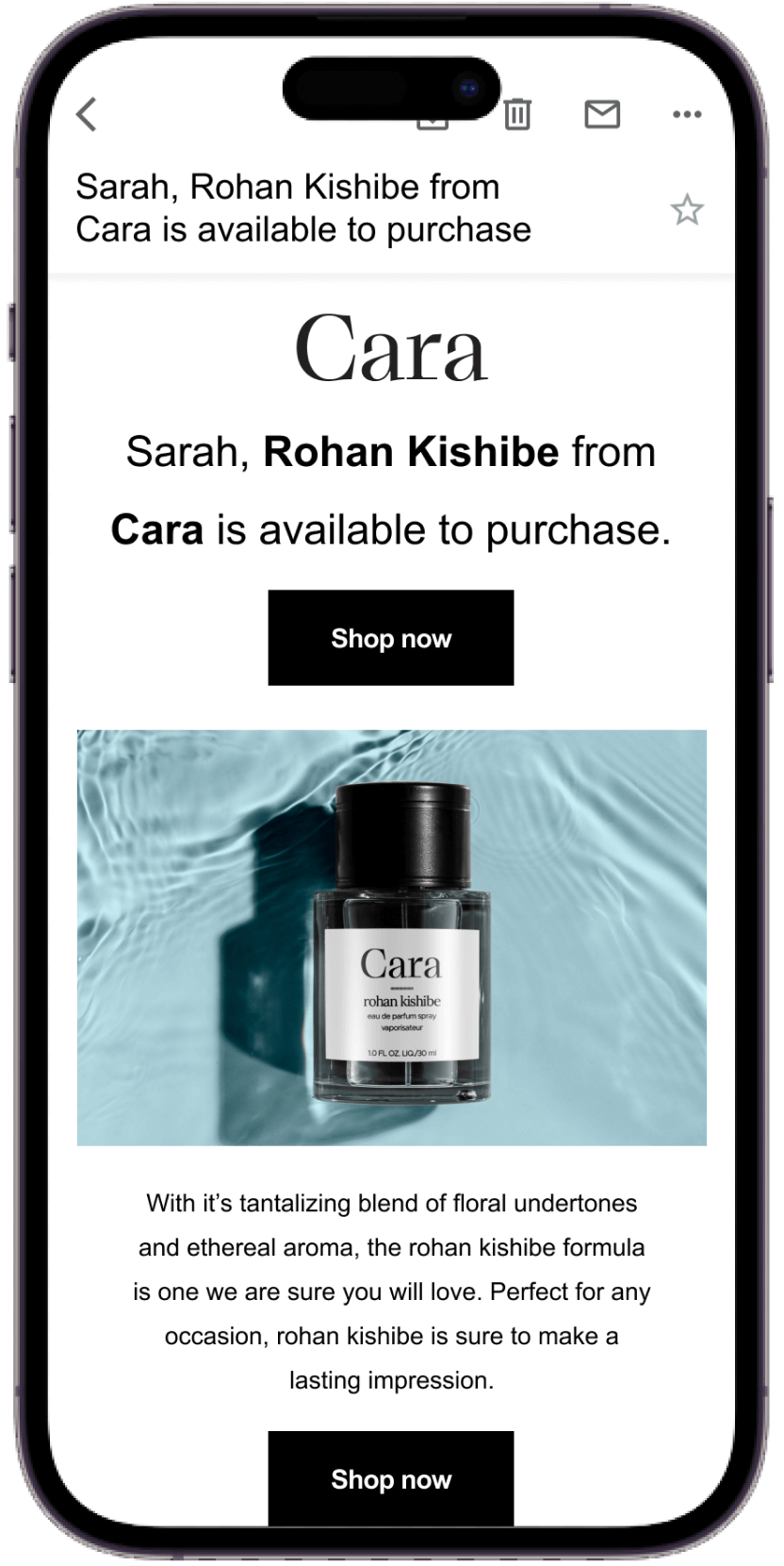 Cara Beauty Example of a Request for Feedback Email